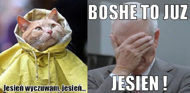 jesień