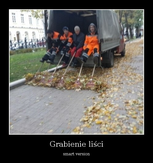 grabienie liści