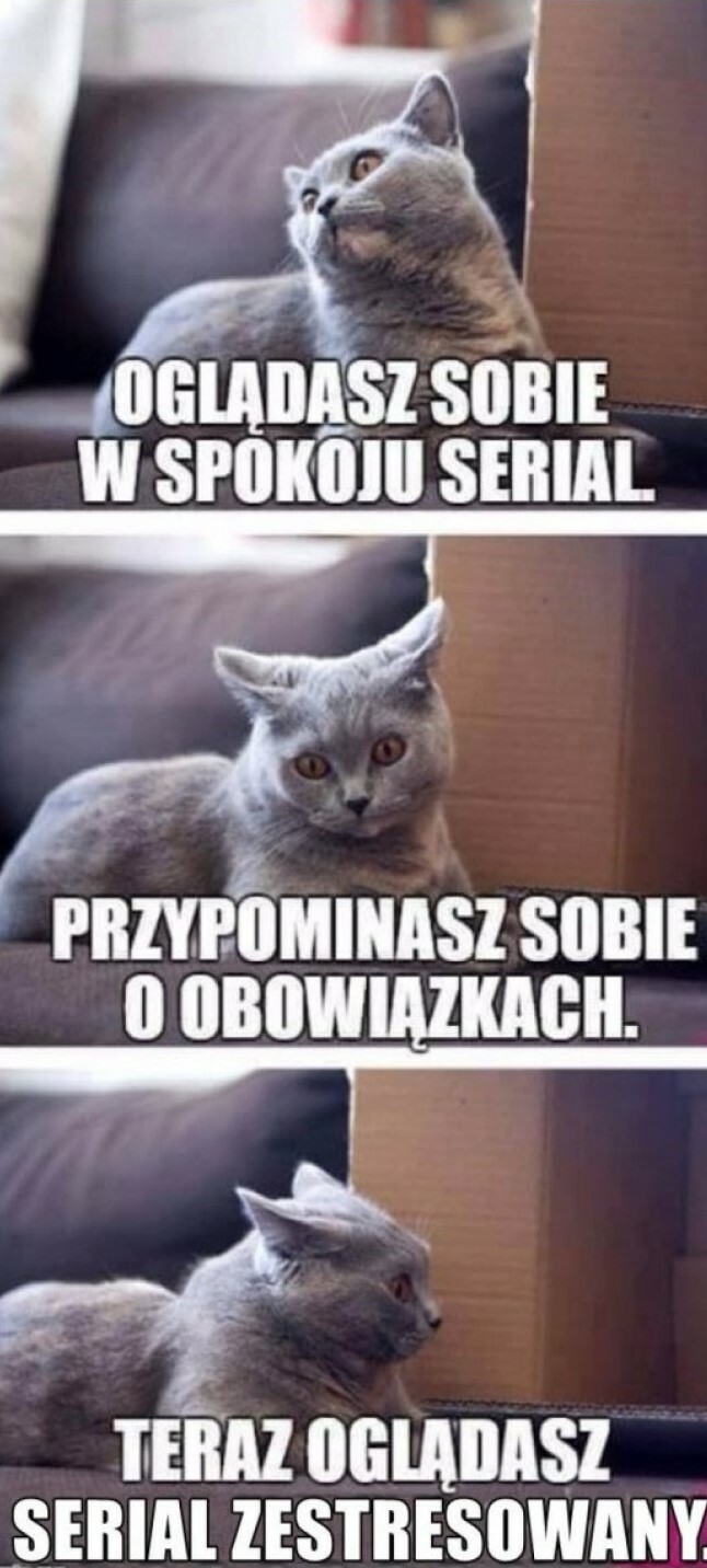 oglądanie seriali