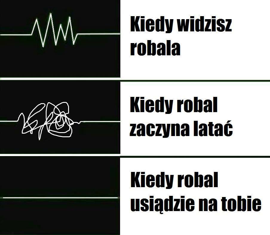 Kiedy widzę robala...