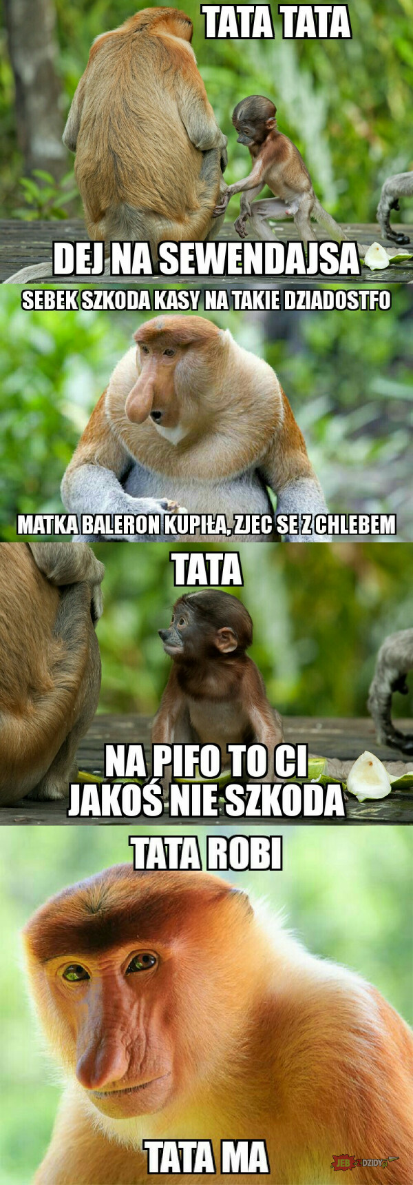 7days VS piwo