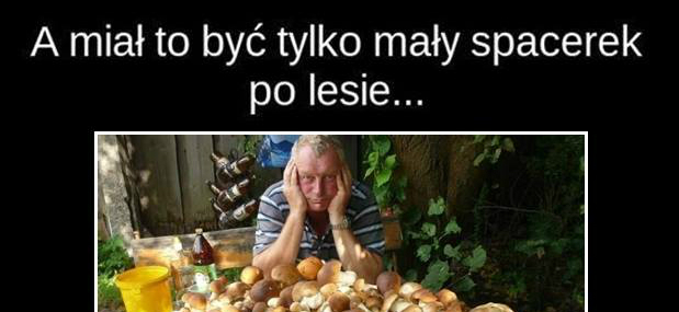 Pora na grzybobranie