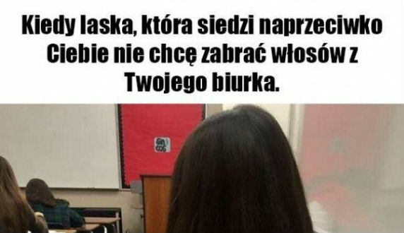 Kiedy laska siedząca przed Tobą nie chce zabrać włosów z biurka...