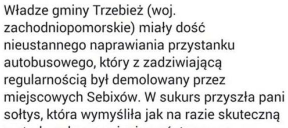 Ochrona mienia publicznego przed niszczycielami...