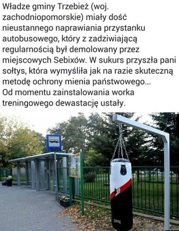 Ochrona mienia publicznego przed niszczycielami...