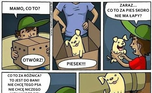 Najlepsza lekcja