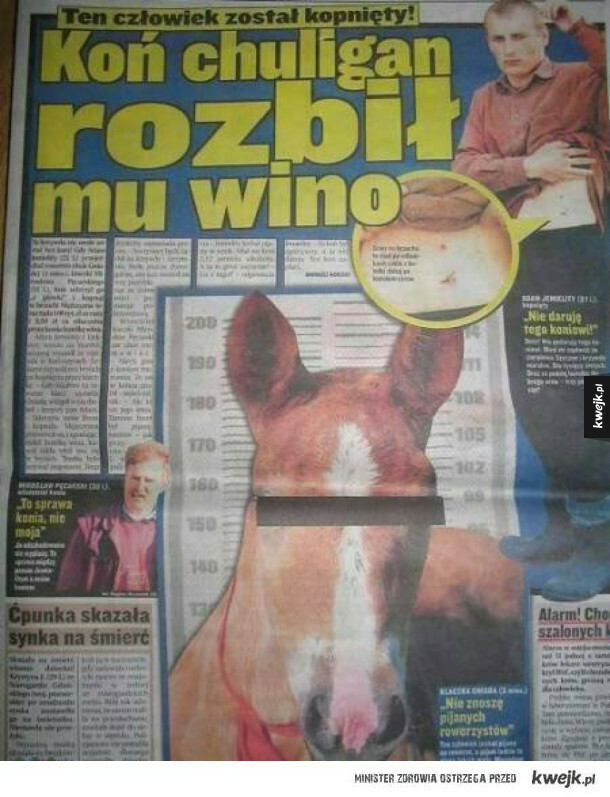 Koń chuligan 
