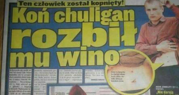 Koń chuligan 