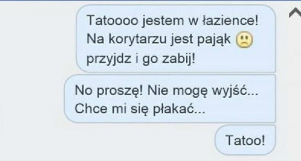 Atak pająka 