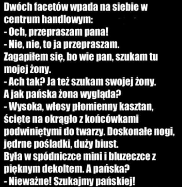 Poszukiwanie żony 
