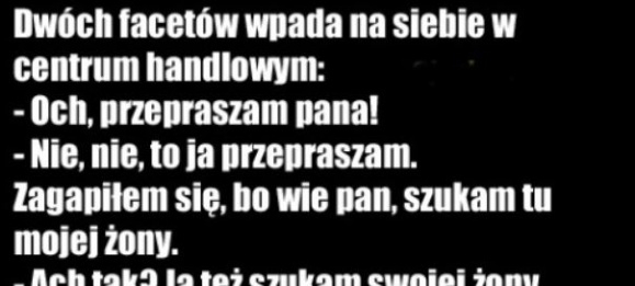 Poszukiwanie żony 