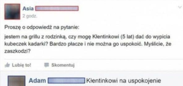 Czy Kłentinek może napić się alkoholu? 