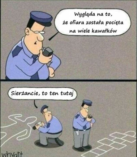 Drobna pomyłka