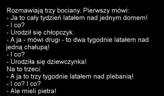 Rozmowa bocianów 