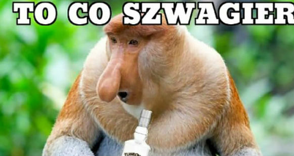 Takiej propozycji się nie odmawia