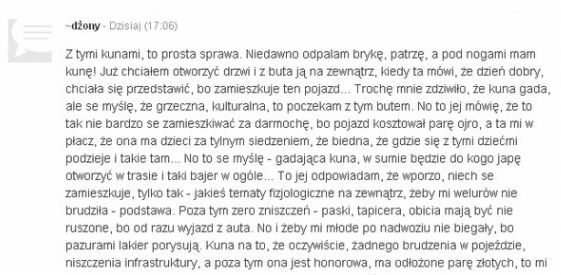 Gadająca kuna