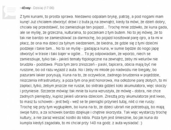 Gadająca kuna