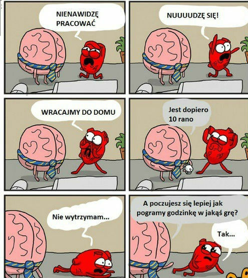 Dzień w pracy