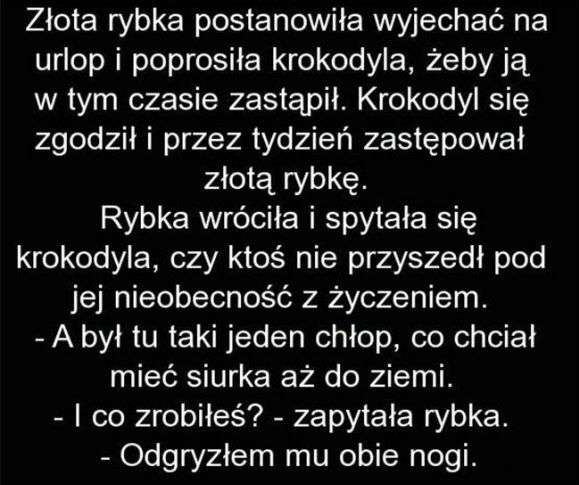 Złota rybka
