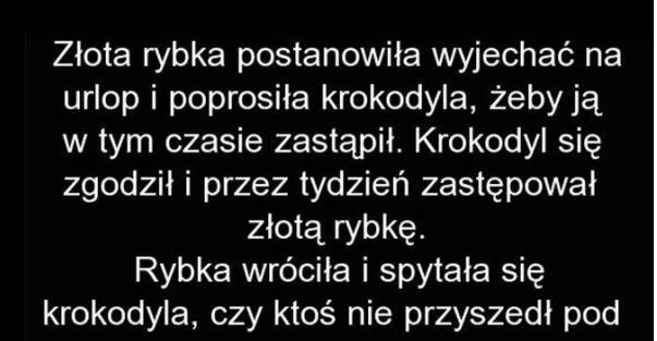 Złota rybka