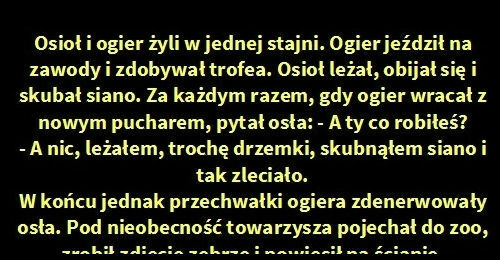 Przechwałki