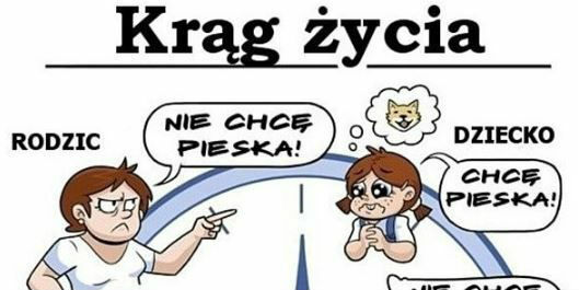 Krąg życia