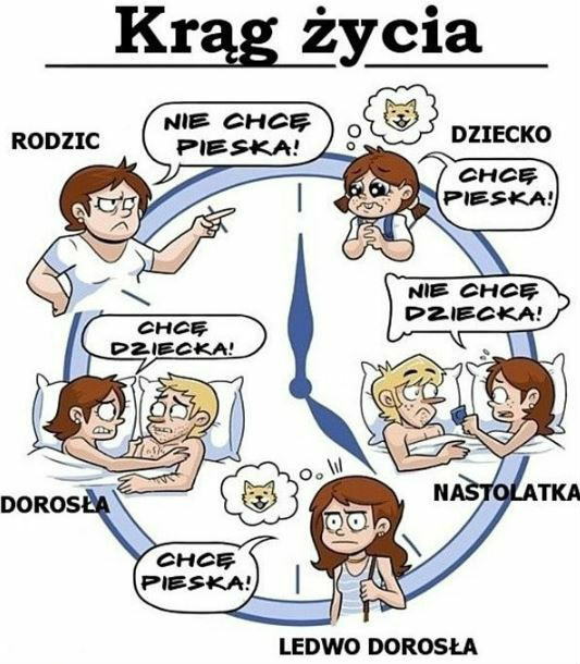 Krąg życia