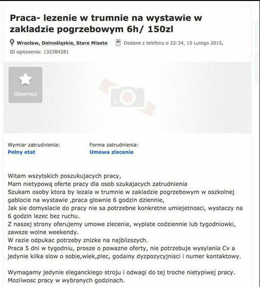 Nietypowa oferta pracy
