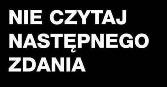 Nie czytaj następnego zdania