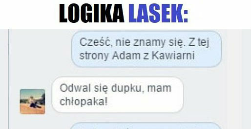 Logika lasek