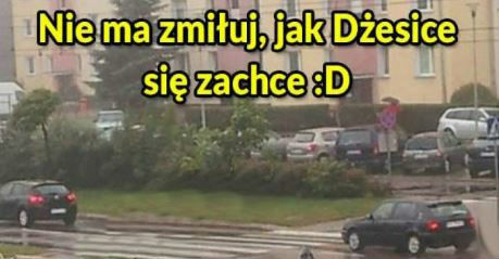 Nie ma zmiłuj, jak Dżesice się zachce