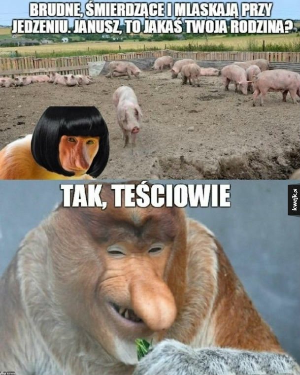 To jakaś Twoja rodzina?