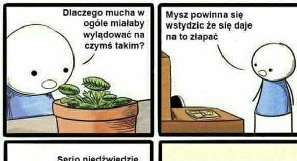 Największe pułapki na świecie