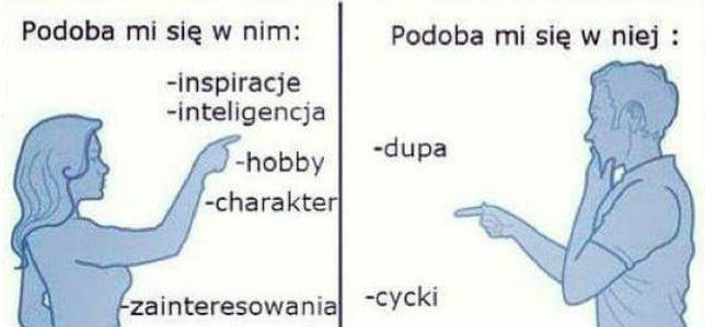 Różnice pomiędzy kobietami a facetami