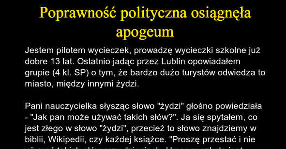 Poprawność polityczna 