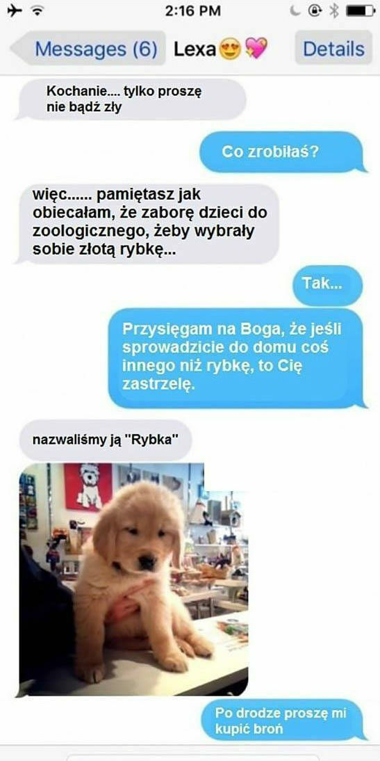 Wyprawa do zoologicznego