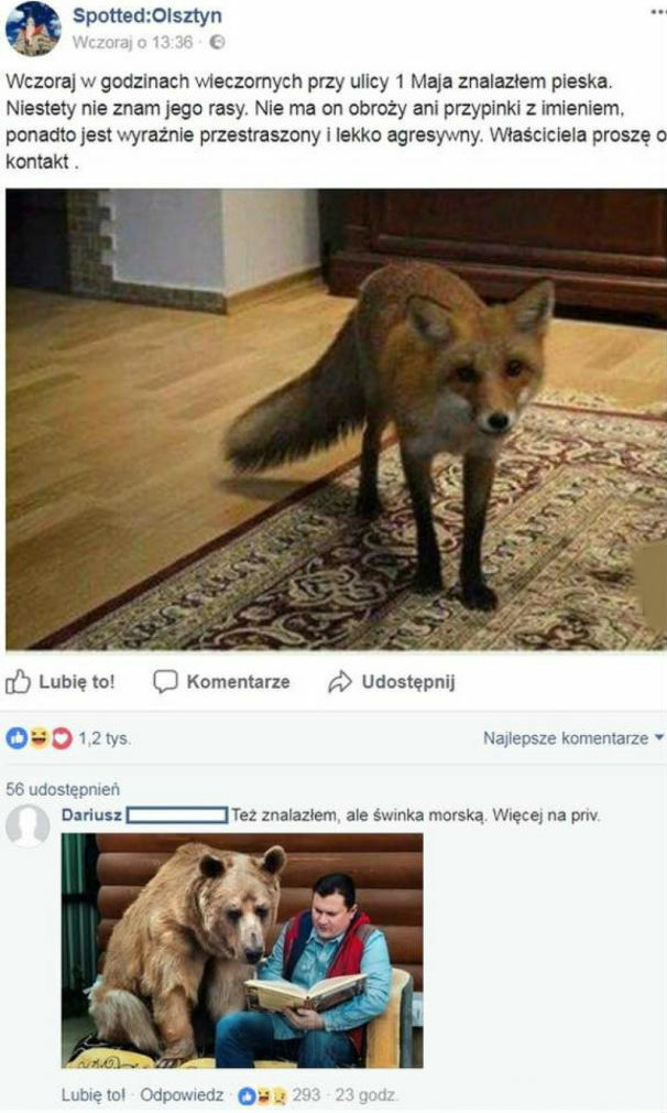 Znalazłam pieska