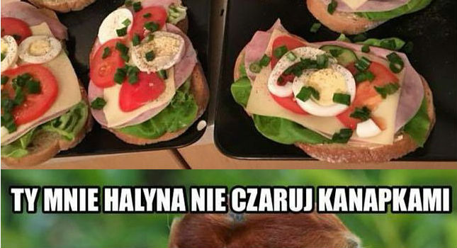 Halyna czarująca kanapkami 