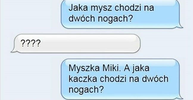 Zagadka z kaczką 