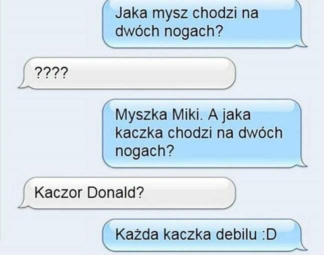 Zagadka z kaczką 