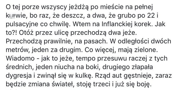Jeże na ulicy