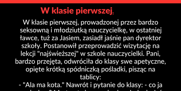 Młoda, atrakcyjna nauczycielka 