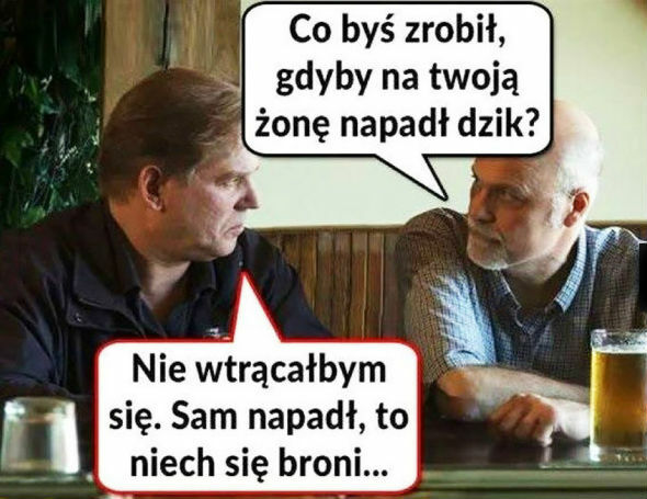 Co byś zrobił, gdyby Twoją żonę zaatakował dzik?