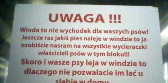 Wkurzony sąsiad