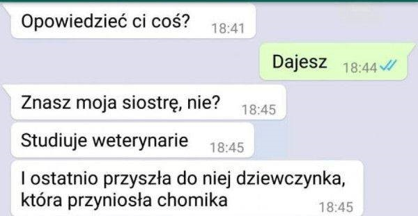 Studentka weterynarii i chomik