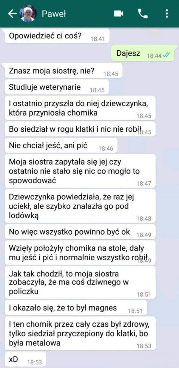 Studentka weterynarii i chomik
