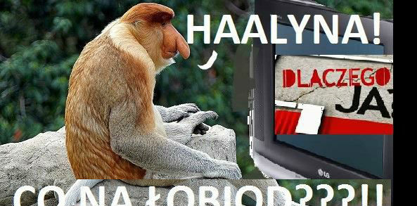 Co dziś na łobiod?