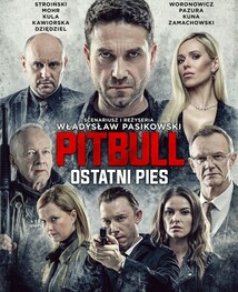 Pitbull. Ostatni pies