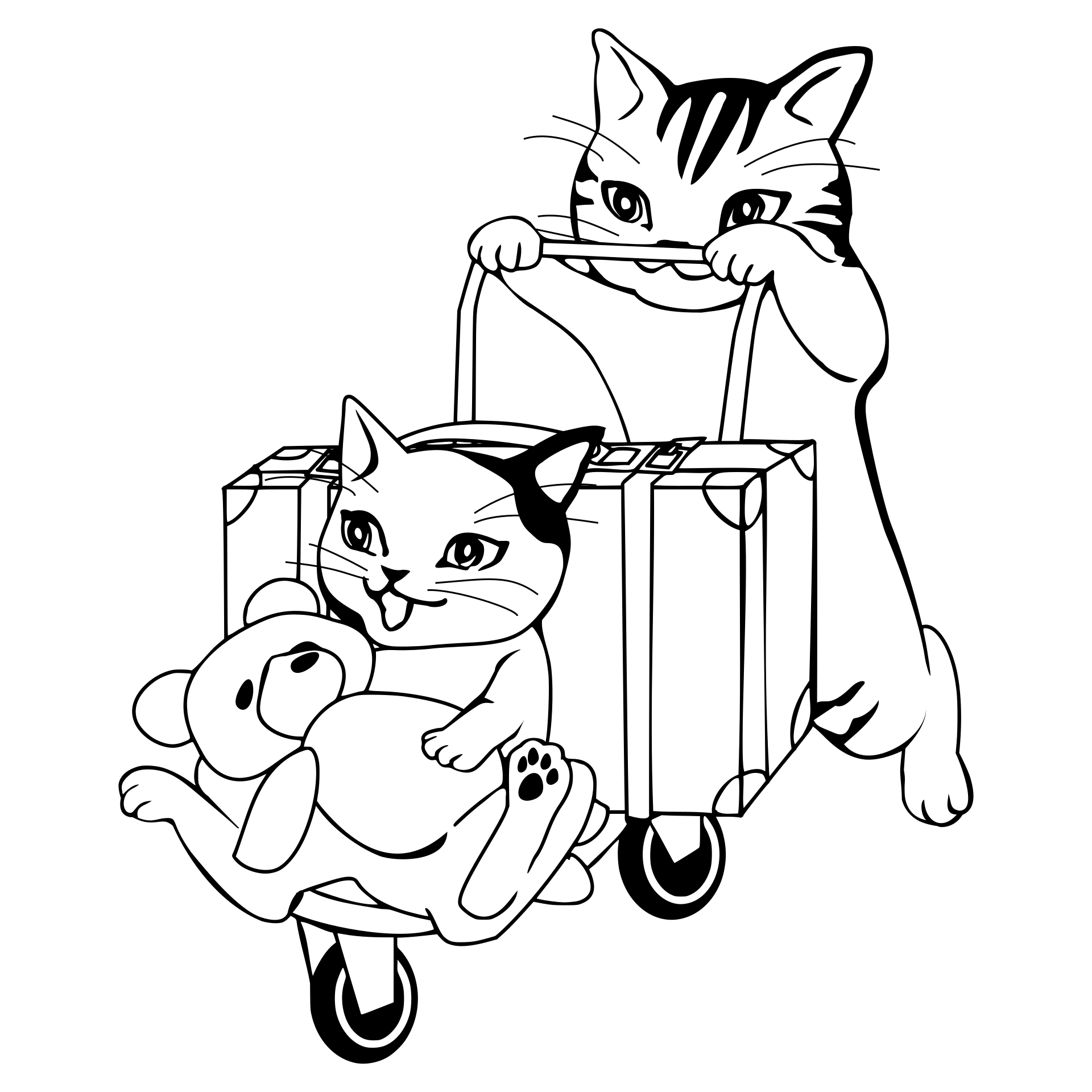 Kot podróżnik