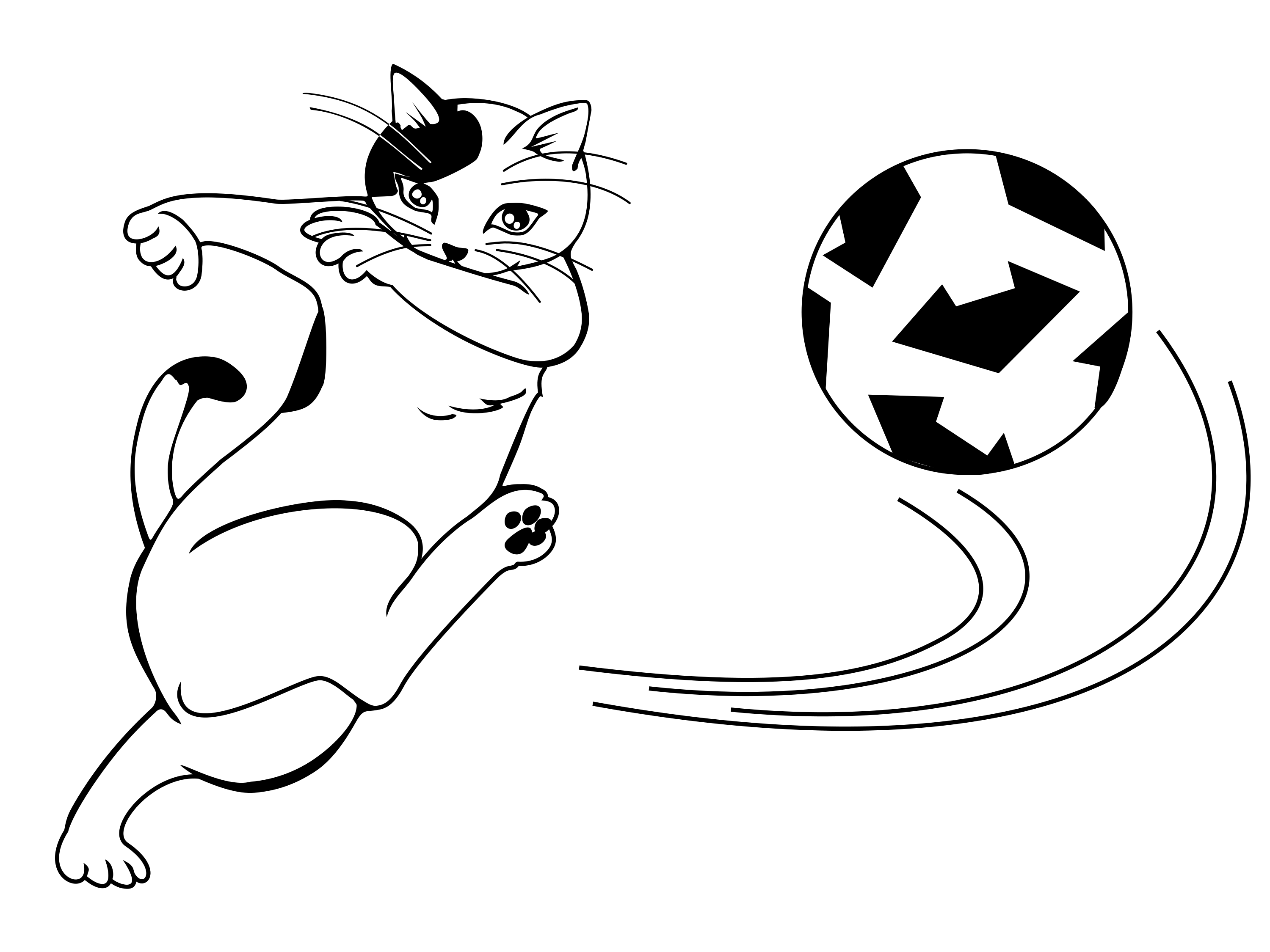 Kot piłkarz